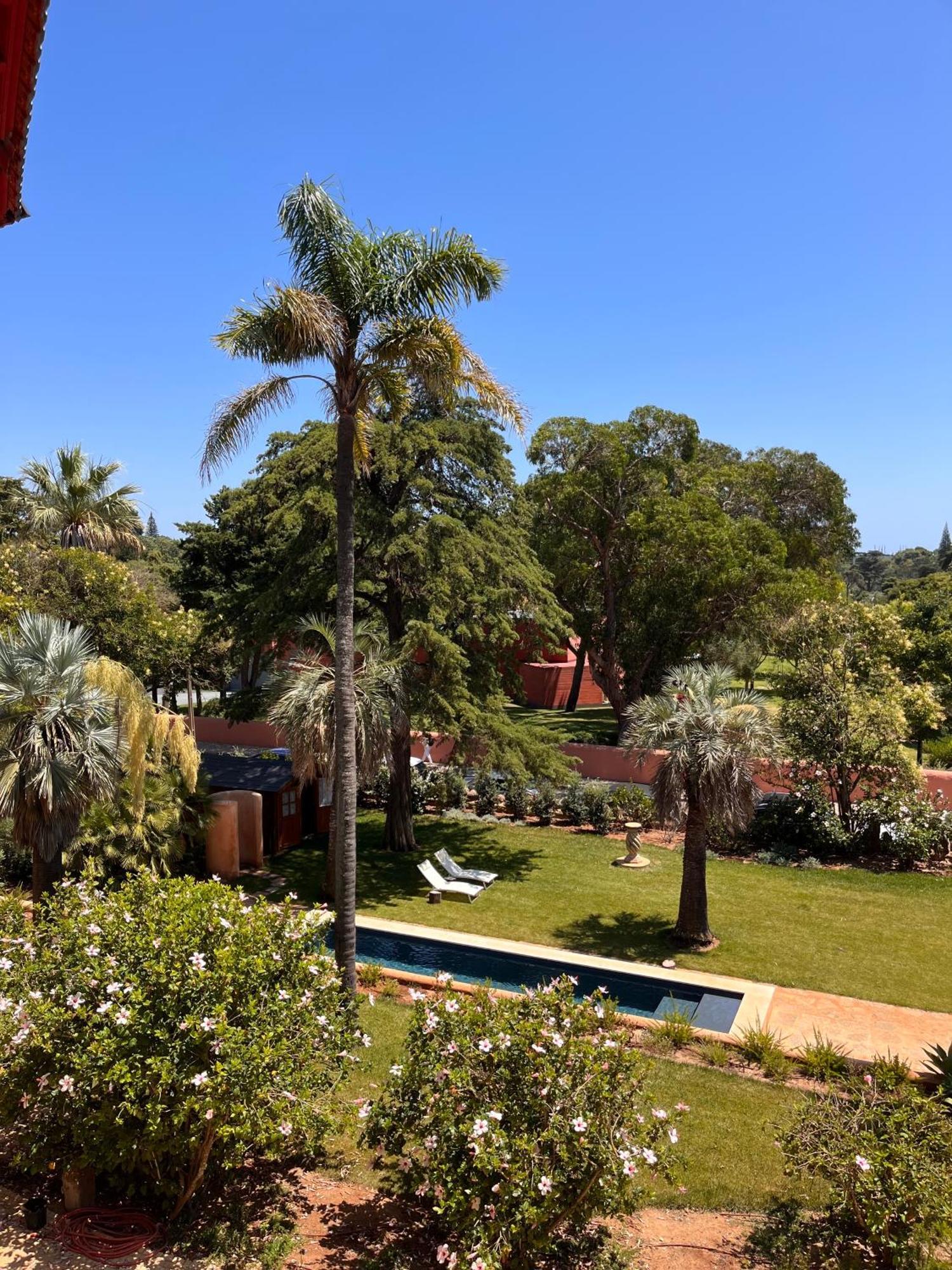Guest house Ficalho
