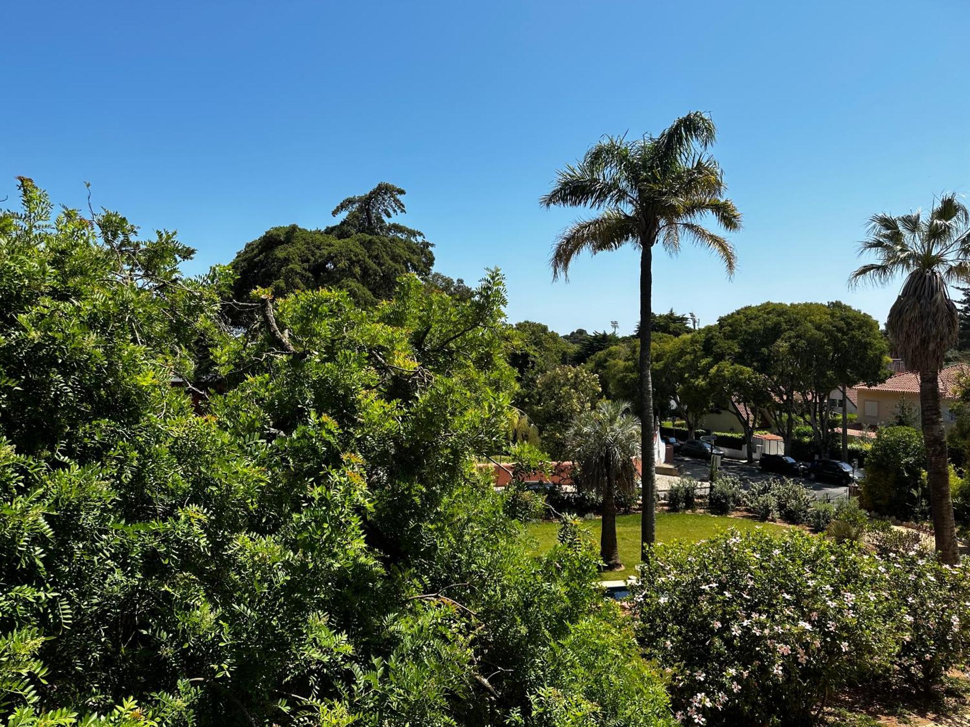 Guest house Ficalho *